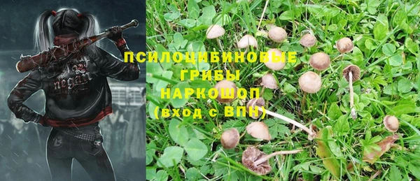 трава Алзамай