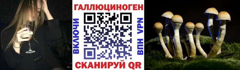 Галлюциногенные грибы MAGIC MUSHROOMS  где можно купить   Учалы 